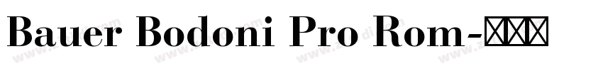 Bauer Bodoni Pro Rom字体转换